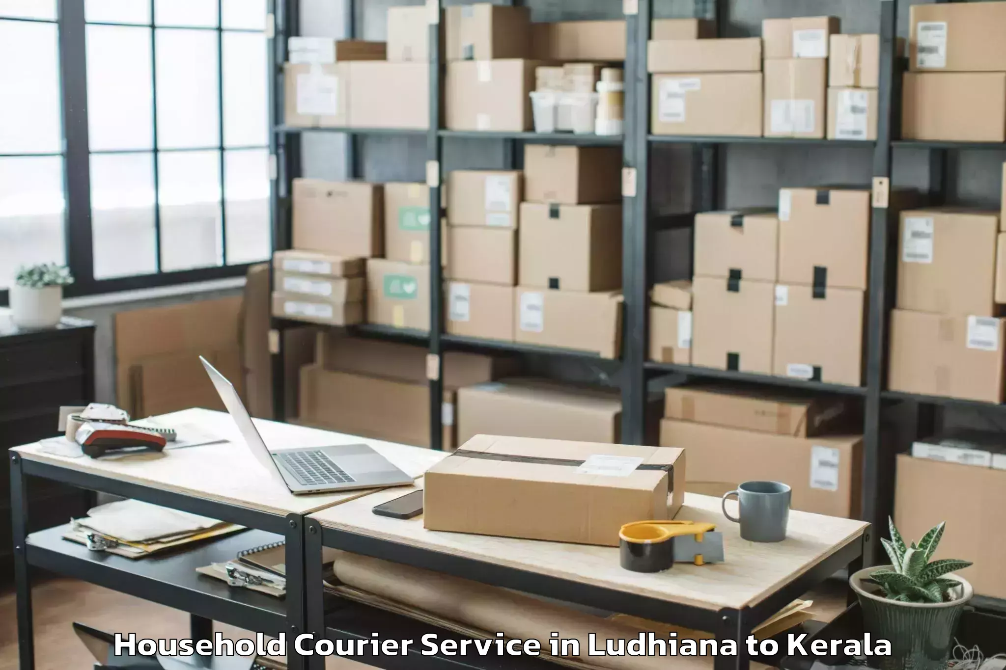 Reliable Ludhiana to Punalur Household Courier